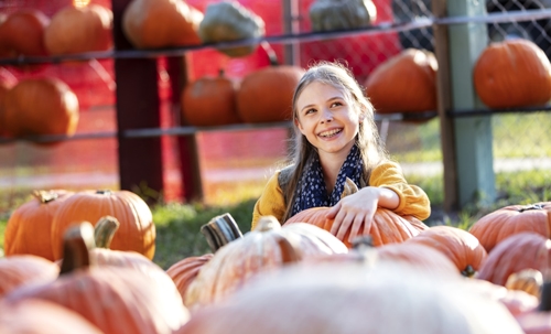 happy child in a pumpkin patch