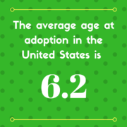 average age of public adoption in the U.S.