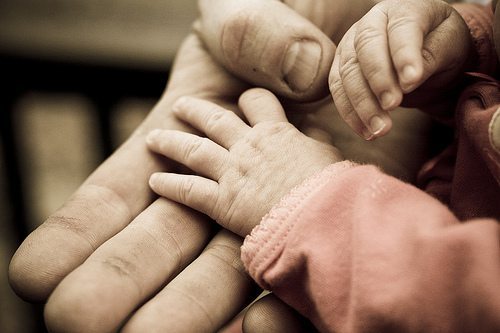 Baby holding parent's hand